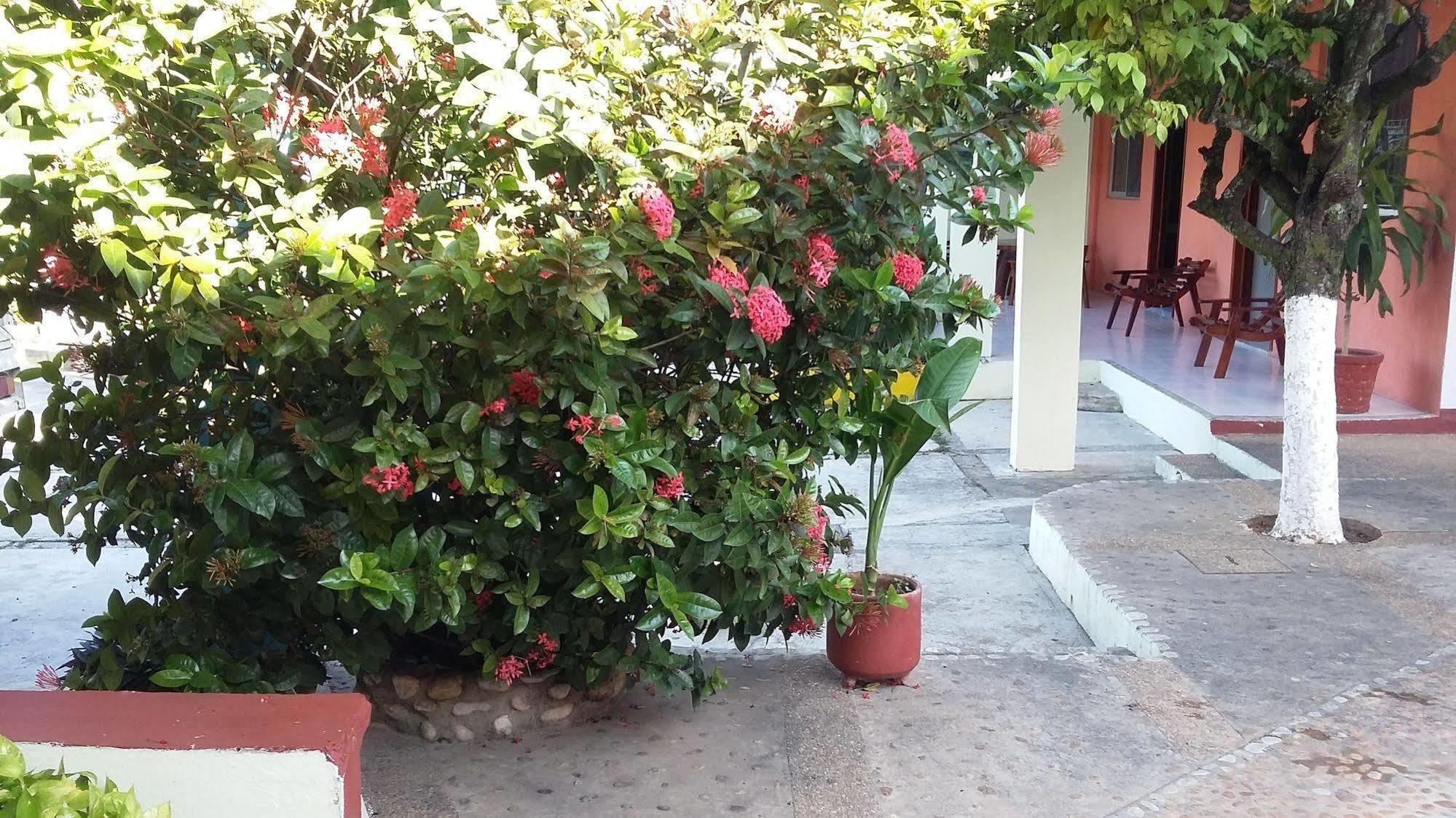 Hotel Mallorca Palenque Buitenkant foto